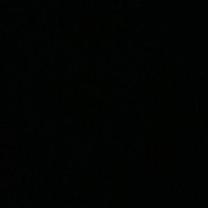 Meet your Posher, Lester